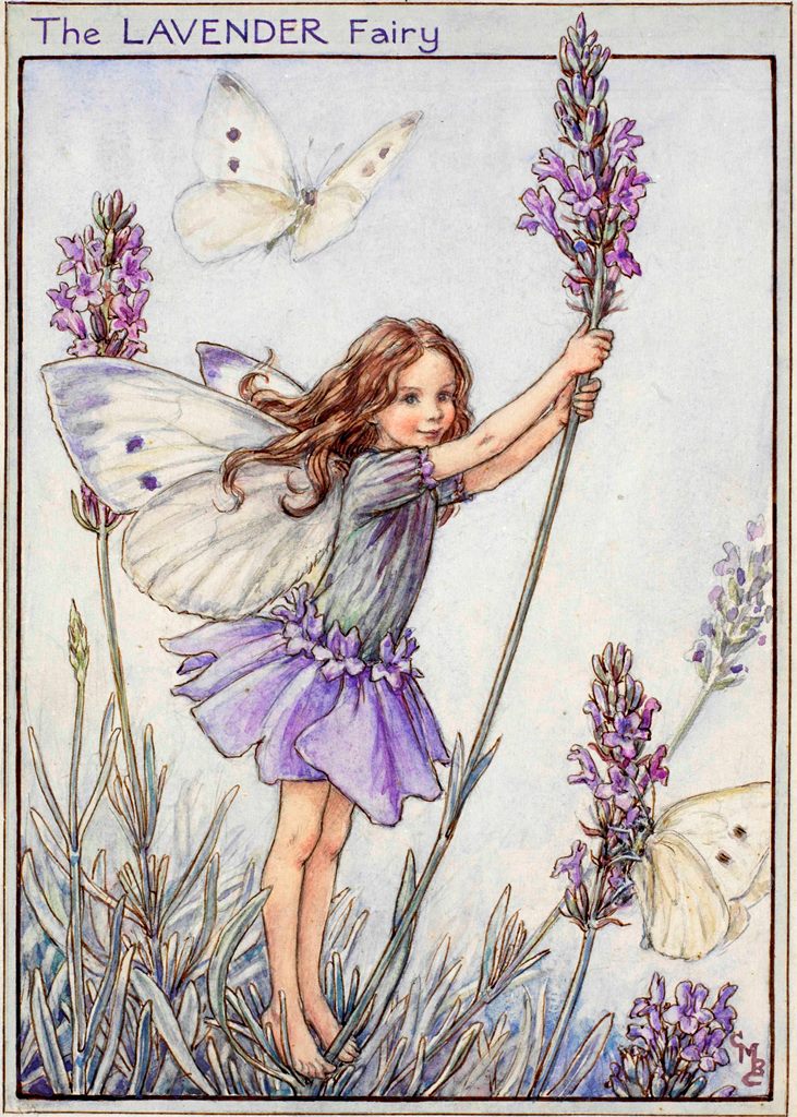 lavender flower fairy