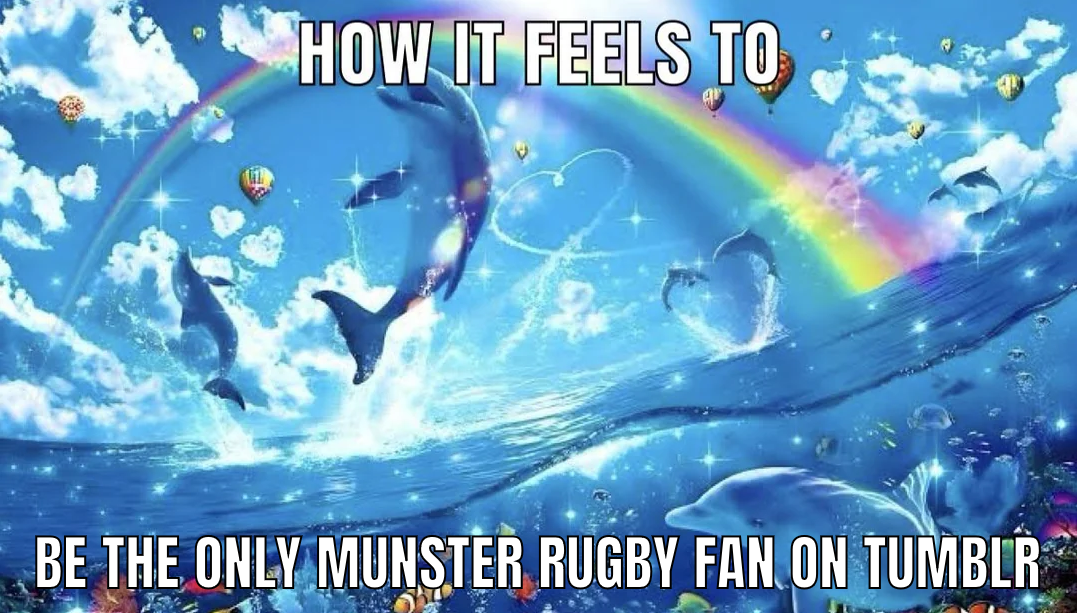 how it feels to be the only munster rugby fan on tumblr (joyous)